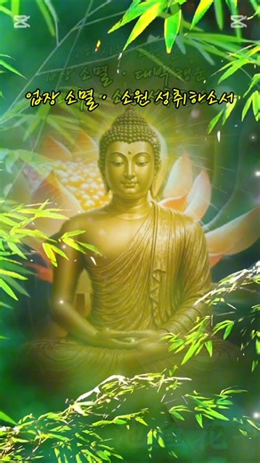 금강경독송 #금강경 #부처님말씀 #불교명상 #영인스님 #고요한선길