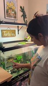 77 reactions · 9 comments | Mealtime with Turty and his Turtle Sticks!!  LINK BELOW to shop now! #TurtleNutrition #PetTurtle #TurtleFood #AquaticTurtle #TurtleSticks https://bit.ly/3UDT2CO | Zilla Products | Facebook