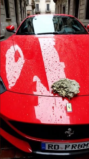 Real ASMR POV: Trash Bag Challenge on Supercars & City Cars #3