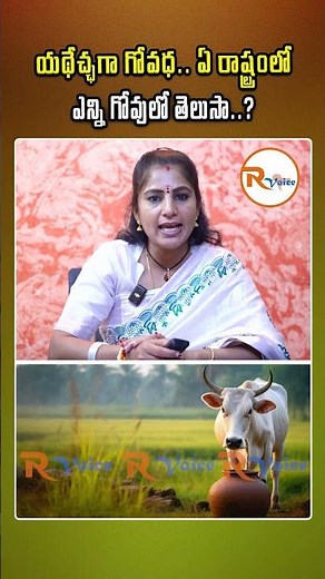 యథేచ్ఛగా గోవధ ఏ రాష్ట్రంలో ఎన్ని గోవులో తెలుసా..? | Cow Slaughter | Cow Protection | Gau Raksha Laws