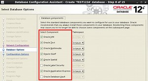Always create databases as CUSTOM databases