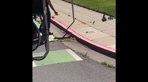 5.8K views · 52 reactions | AWW! Check out this adorable video out of...