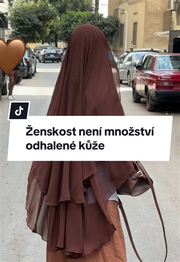 Ženskost není jen o křivkách a odhalené kůži. Pro některé z nás je skromnost elegance, pohodlí a víra. A to je taky v pořádku 🤍 #modestfashion #fyp #zeny #muslim #hijab