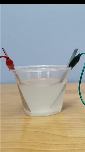 10 Awesome 8th Grade Science Projects