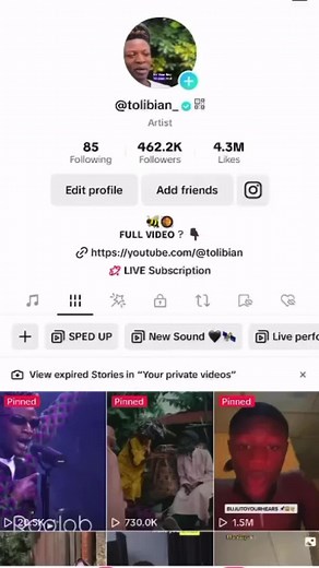 How to Use TikTok's 'By Artist' Feature: Step-by-Step Guide