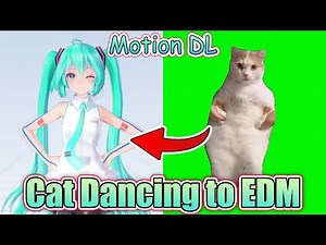 【MMD/Meme】Cat Dancing to EDM (Motion DL)