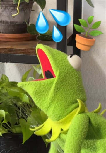 I made a mess 😕 #fyp #kermit #plants #humor