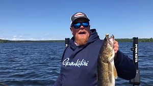 2.1K views · 26 reactions | It's a great time to visit Lake...