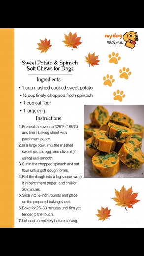 Homemade Dog Food Recipes on Reels