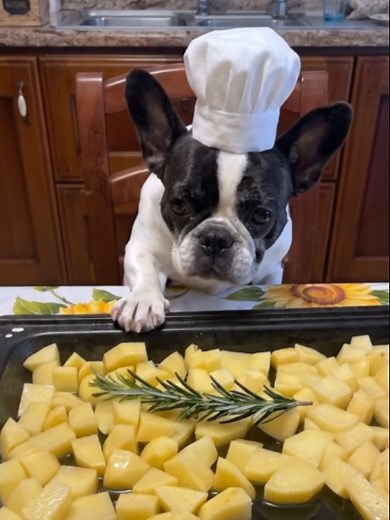 Ricetta semplice: patate per cena per la famiglia e il cane
