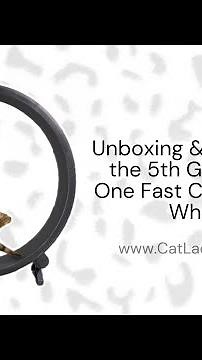 Unboxing & Setting Up the 5th Generation One Fast Cat Exercise Wheel | @catladytails