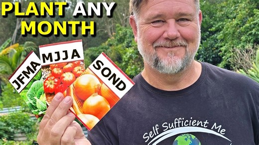 Master your planting: Introducing the Self Sufficient Me garden planner!