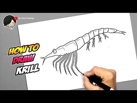 How to draw a Krill