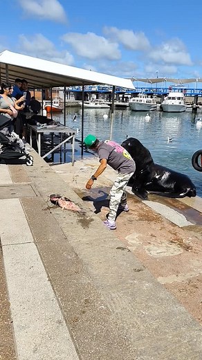 En el puerto de Punta del Este ( Uruguay), un espectáculo que te llena el alma. Gracias | Teresa Peña