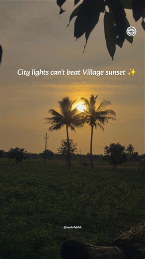 City lights can't beat Village sunset ✨ #travel #citylights #village #shorts #trending