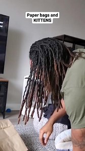 The kittens played with this bag for hours 😂 #playtime #cutecats #cats #kittens #fostercats #magictrick #orangetabby #graytabby #paperbagfun | Fostering kittens