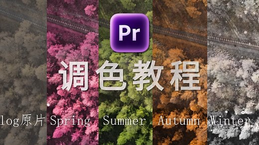【PR调色】新手小白都不要再瞎调了！保姆级PR调色教程来啦（12集全）从 Lumetri 入门到案例实战，带你零基础速成调色高手！