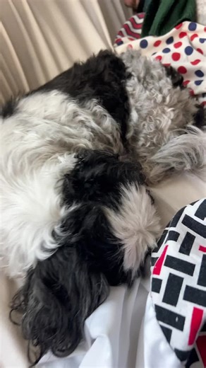 Michelle M. Thor (@michellem.thor)’s videos with original sound - Michelle M. Thor