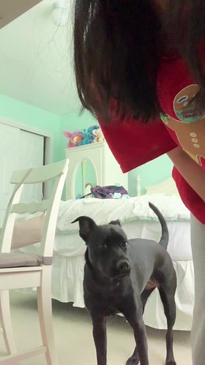 Jess Kim (@jesskim)’s videos with Rock With Me - ￼