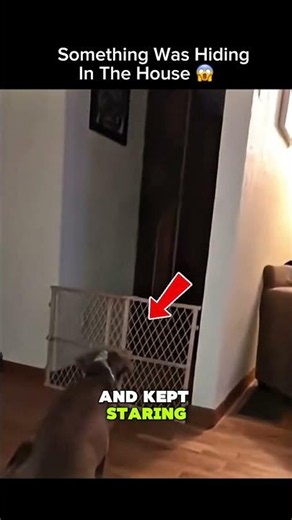 Paranormal Activity Caught On Camera 😳