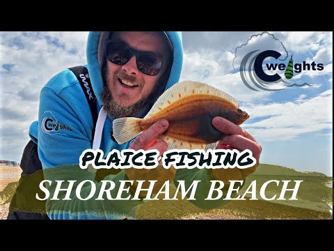 Plaice Fishing - Shoreham Beach - West Sussex Sea Fishing UK