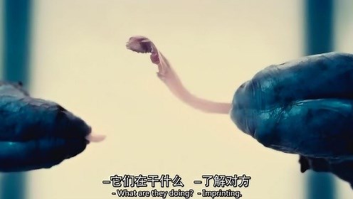 《人兽杂交》人兽杂交的过程，简直太壮观了