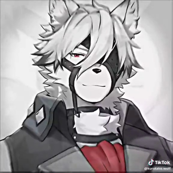 Furry Wolf Vibes in Zenless Zone Zero