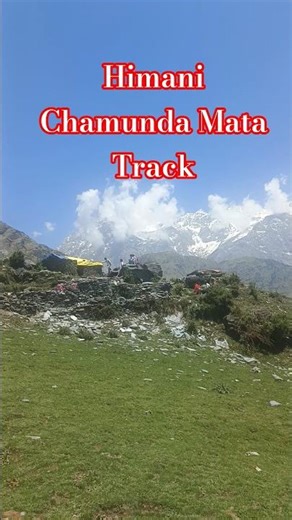 Himani Chamunda Mata Track #himachal #nature #reels #travel #viral #mountains #temple #tracking