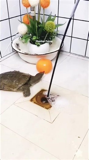 drain pipe unblocking tools #tools #tricks #drainpipe #hacks