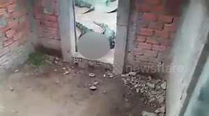 Two-year-old girl eaten alive by CROCODILES after falling into enclosure on family's farm