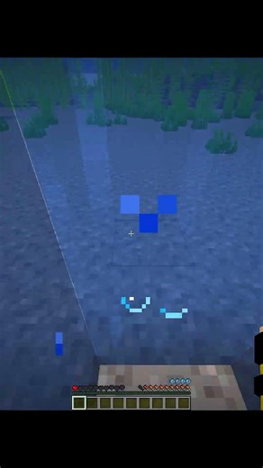 Java Door Vs Bedrock Door In Minecraft