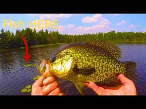 This Summer Crappie Spot Loads Up Every Year (Here’s Why)