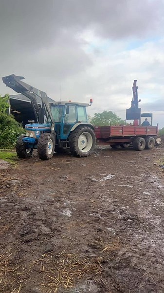 Dave Mcmullan (@dave_mcmullan)’s videos with Hold Me, Thrill Me, Kiss Me, Kill Me - From 'Batman Forever' - U2