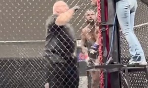 Referee Faces Potential Ban After Mid-Bout Altercation With Fighter