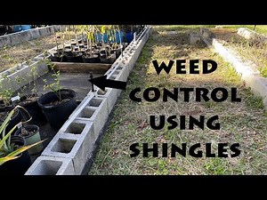 Using Shingles as Weedblock