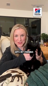 Identifying Common Cat Urinary Issues: A Pet Owner's Guide