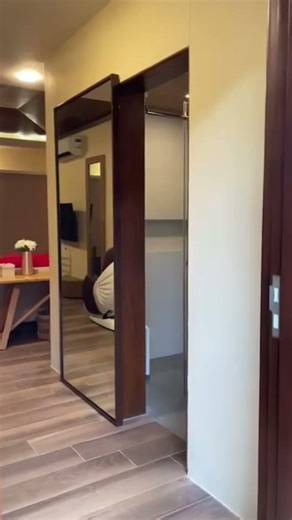 Nobody Can Tell This Mirror Is Actually a Door