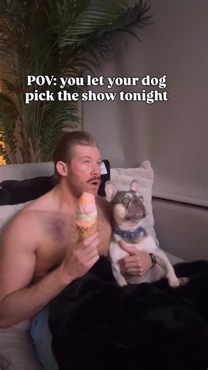 French Bulldog on Instagram: "The open mouth from dog kill me 💀😍 TikTok: joshuashanley"