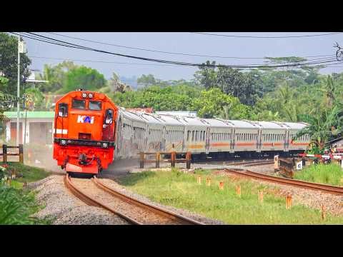 KERETA API PANJANG‼️ MENEMUKAN 29 KERETA API NGEBUT DI PERLINTASAN DAN TIKUNGAN