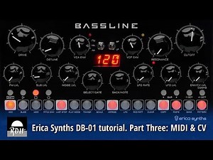 Erica Synths DB-01 tutorial - Part 3: MIDI & CV