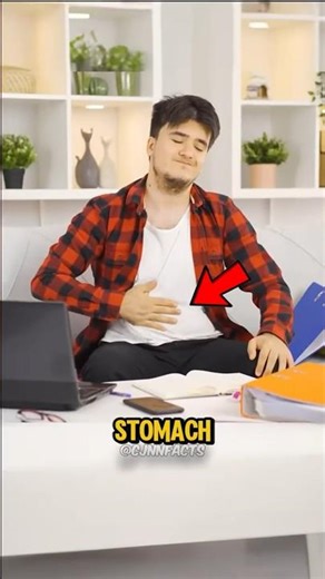 Why Does Your Stomach Growl When You're Hungry? 😨