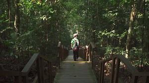 4.3K views · 50 reactions | [Etiquette in Nature Reserves] Leave nothing but footprints! Conserving our environment is everyone’s responsibility. Trash is not only an eyesore in photos, but we may accidentally trip over them too. But what’s the real reason why we should keep our nature reserves clean? Watch this video to find out the answer! ;-) Plan a trip to our nature reserves: www.go.gov.sg/nanr | NParks | Facebook