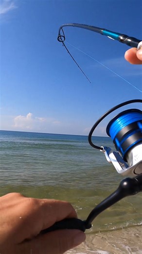 This is what happens when you fish a shark infested beach | Bama Beach Bum