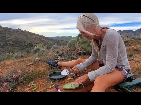 🚐VANLIFE: Desert Foraging in Arizona...How to eat a cactus...