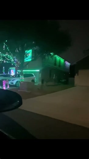 Christmas lights #grinch