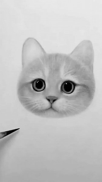 Beautiful and Easy Black and White Pencil Drawing