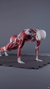 A push up can be a powerful tool to improve shoulder mobility and even correct imbalances. Here’s what you need to know 💪🏻✅ Credit to @anatomy.of.motion for the visuals! | Conor Harris