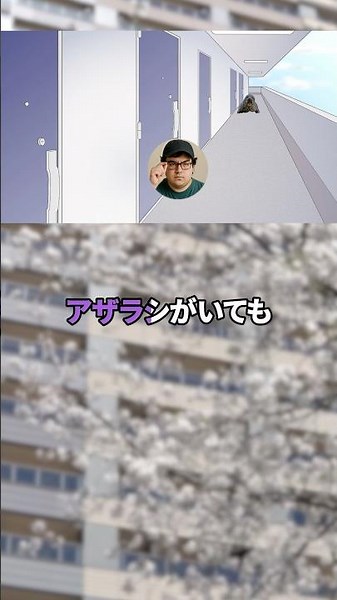 10億円貰えるけど世界中のアザラシから命を狙われるボタン