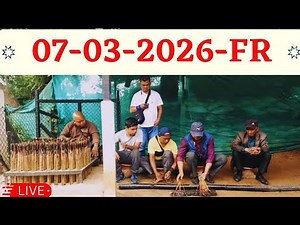 Shillong Teer Live FR 07/03/2026@Khasi Hills Archery Sports Institute@Shillong Teer Result 🔴