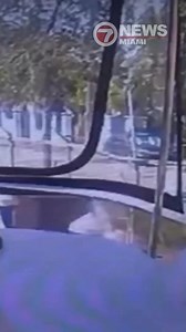 93K views · 217 reactions | WATCH: Surveillance video shows a City of Miami waste management truck crash through a fence and plunge into the Miami River as a good Samaritan raced to rescue the two employees trapped inside. https://wsvn.com/news/local/miami-dade/good-samaritan-rescues-driver-passenger-after-truck-rams-through-tree-crashes-into-boat-on-miami-river/?FBWSVN | WSVN-TV | Facebook